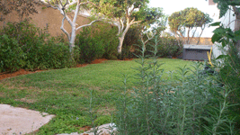 ����� �����