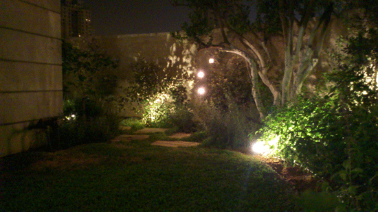 ����� �����