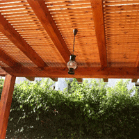 ������ �����